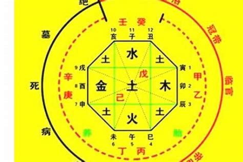 喜用神分析|八字喜用神在线查询器,在线查五行喜神忌神